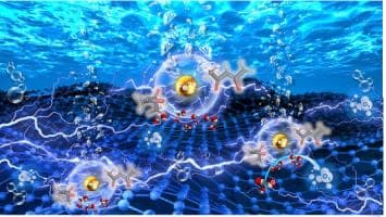 image of publicaiton Pioneering molecularly-level Fe sites immobilized on graphene quantum dots as a key activity descriptor in achieving highly efficient oxygen evolution reaction