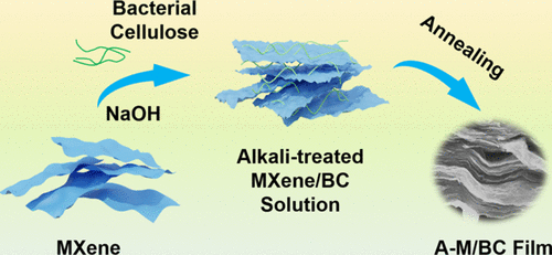 image of publicaiton Regulating functional groups enhances the performance of flexible microporous MXene/bacterial cellulose electrodes in supercapacitors