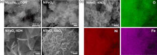 image of publicaiton Tailoring NiFeOx nanostructures with molten salts synthesis for non-enzymatic electrochemical sensing of dopamine